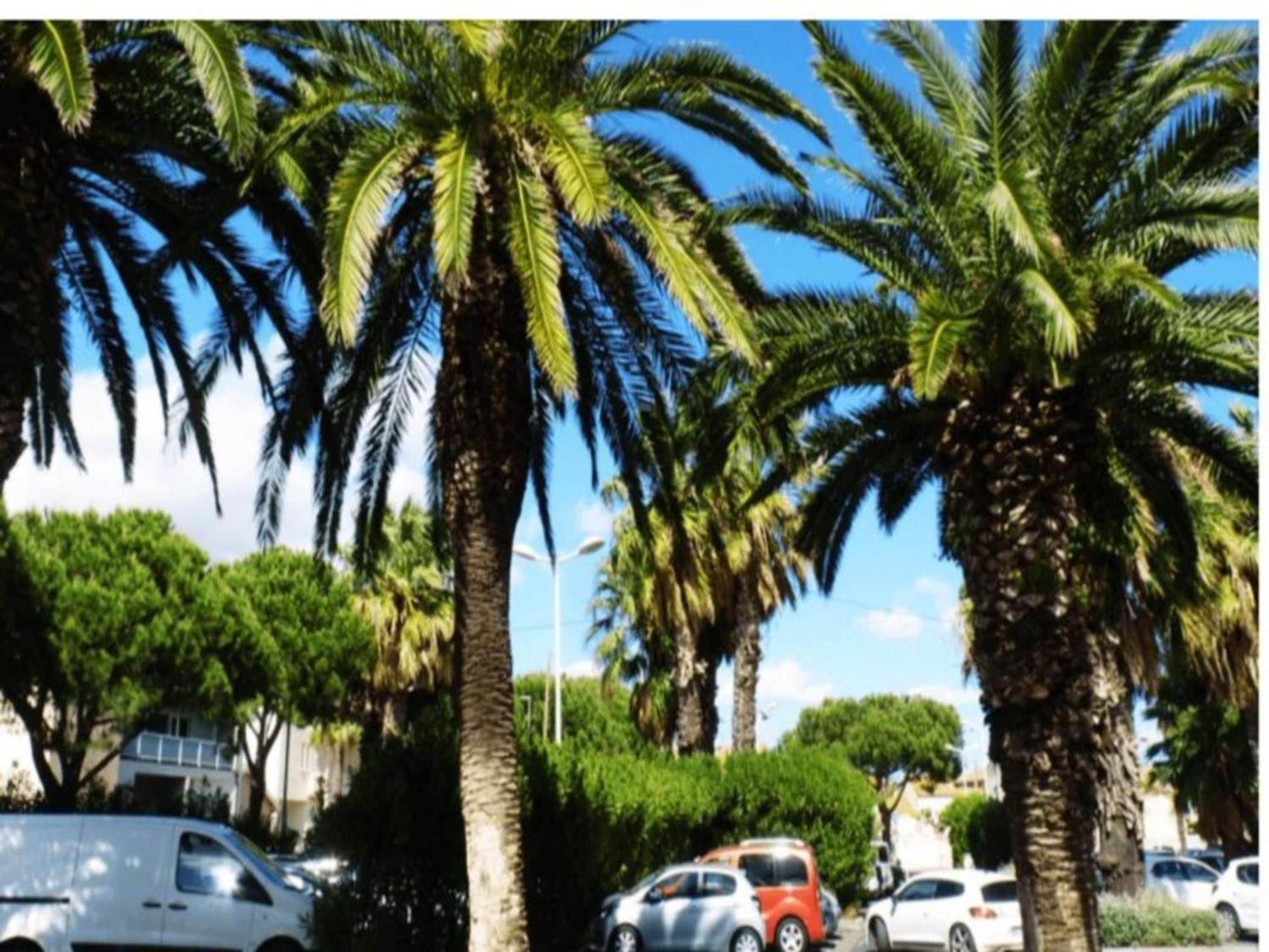 Mobil Home Confort Premium Valras-Plage Bagian luar foto